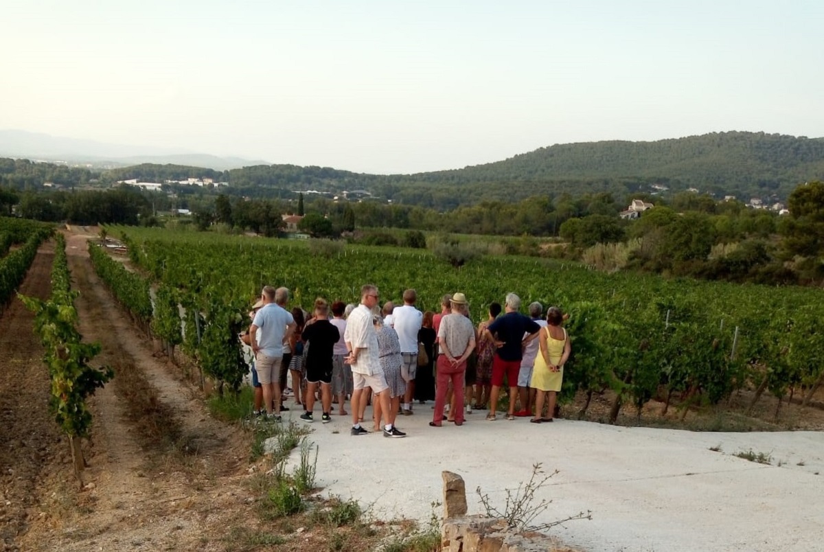 Oenoludic visit (english) of a wine estate (Domaine de la Navicelle) in Biodynamie (on Tuesday) à Le Pradet - 0