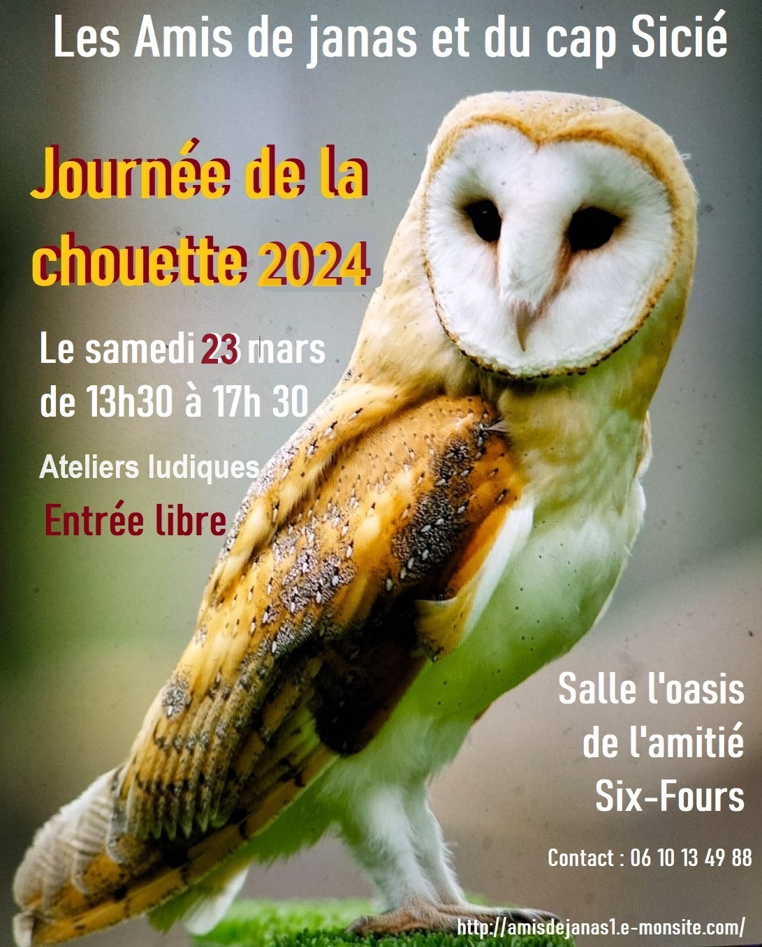The owl day à Six-Fours-les-Plages - 0