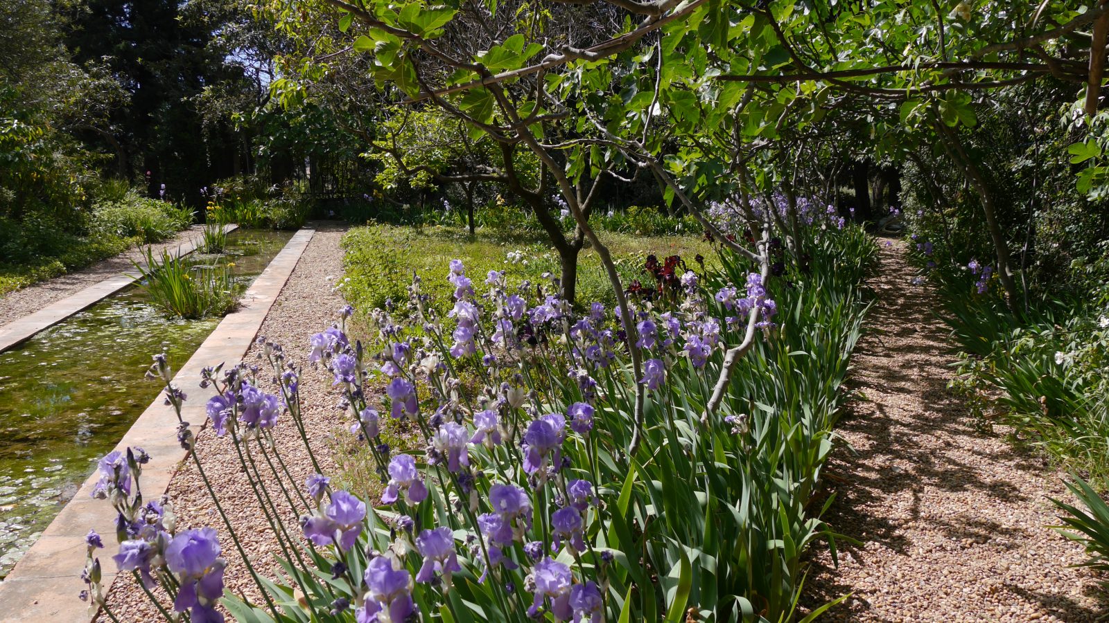Visite guidée du jardin remarquable du Domaine d’Orvès à La Valette-du-Var - 1